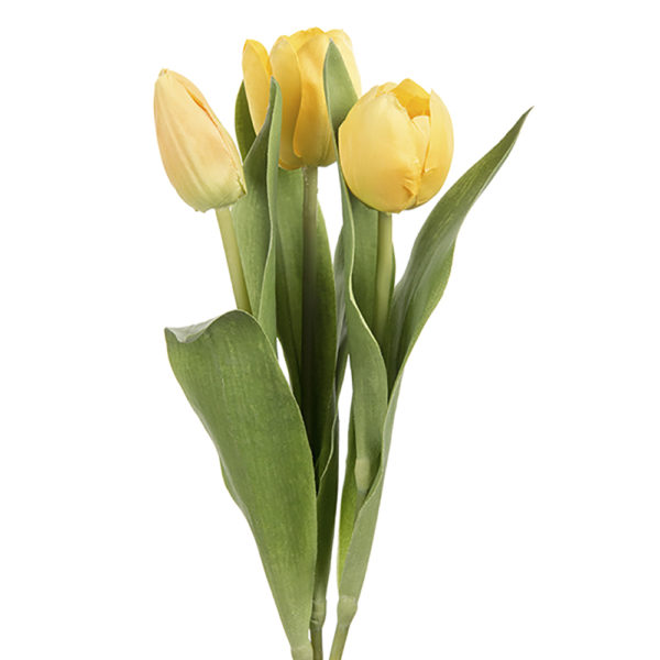 Tulip Mix Yellow