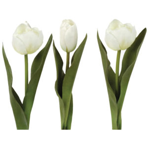 Tulip White Mix
